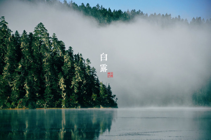 二十四节气白露寓意,二十四节气白露卡通