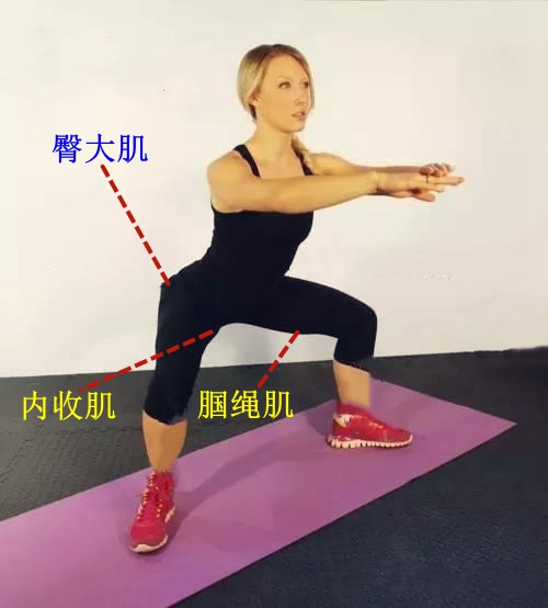 改变腿型的交叉蹲,正确深蹲法教你翘臀不粗腿