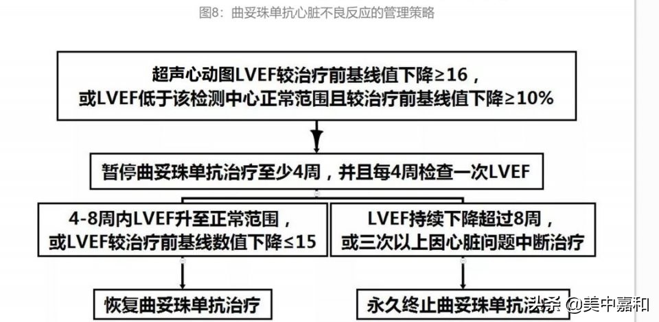乳腺癌患者管理手册,乳腺癌诊疗规范2019
