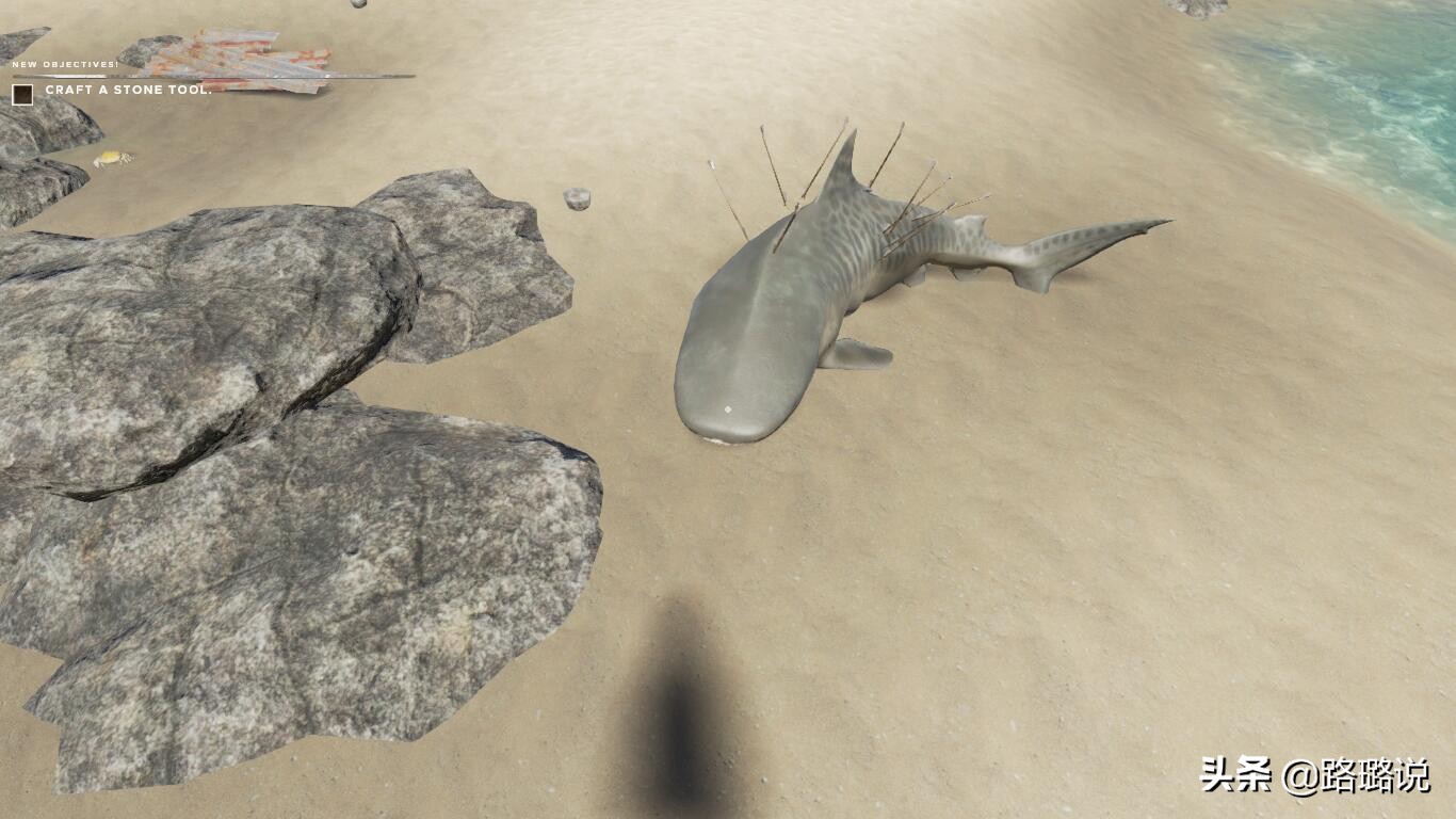 荒岛求生生存技巧真人版合集,荒岛求生技巧和方法