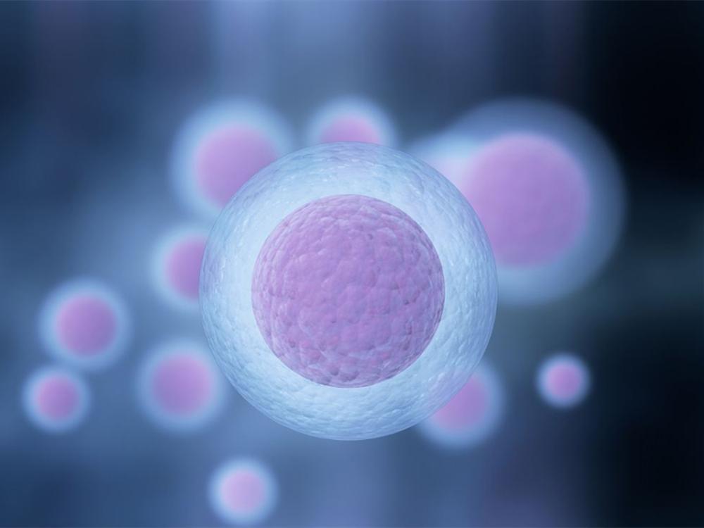 女性排卵信号,女孩身体什么信号来月经