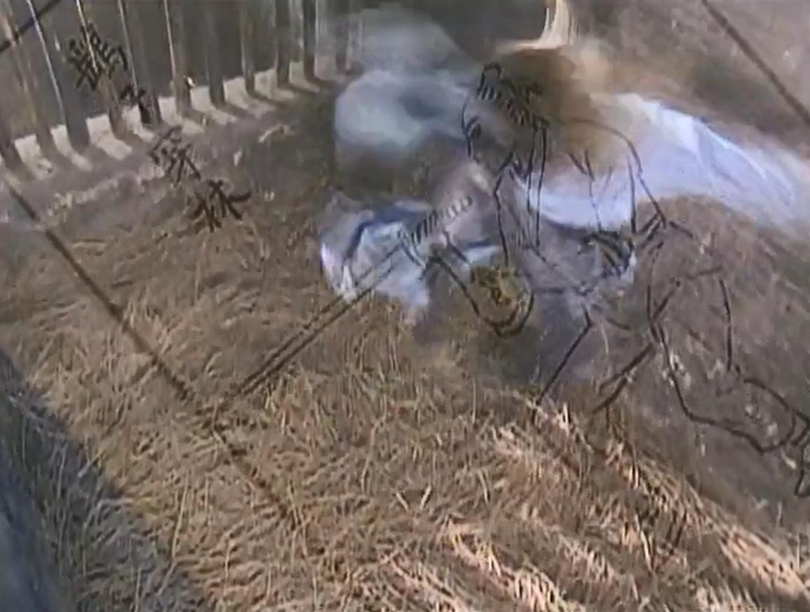 考研英语写作范文100篇,考研英语二写作必备词汇