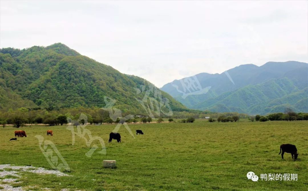 自驾车游遍中国之（一）——世界那么大，我想去神农架
