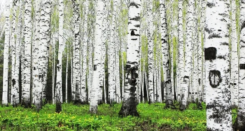 最高法：​申请财产保全数额以满足申请*权人**利实现为目的与限度，合理超出诉求数额的不能认定存超标保全故意