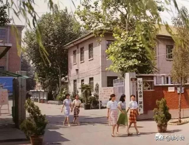 再见了石家庄完整视频,再见了石家庄简单版