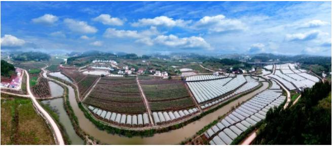 乐至网红打卡地景点推荐,乐至周边游玩景点推荐