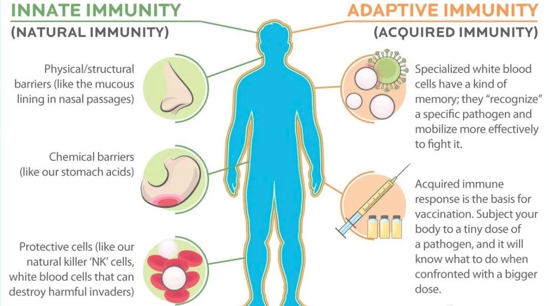 *麻疹荨**忌口了就能好吗？其实很多人都错了