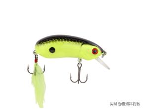 钓三文鱼视频野钓,三文鱼夏季淡水钓法