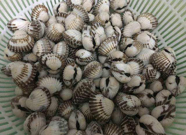 这四种海鲜只有生吃才好吃,海鲜怎么煮才能原汁原味