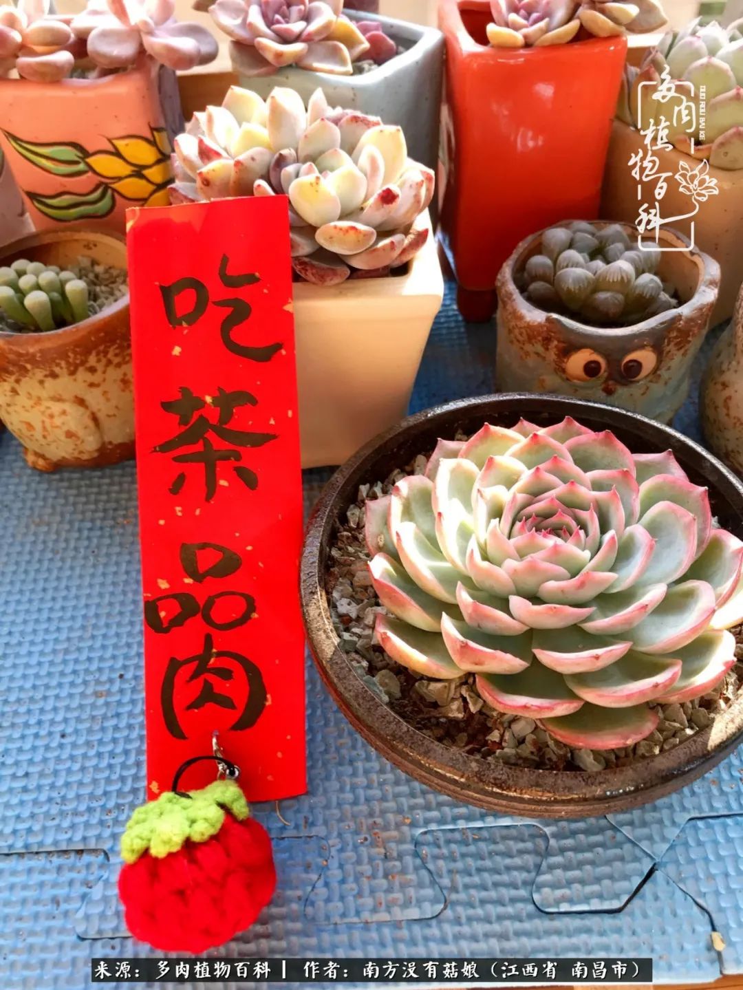 既见云胡不喜,既见君子云胡不喜毛笔楷书