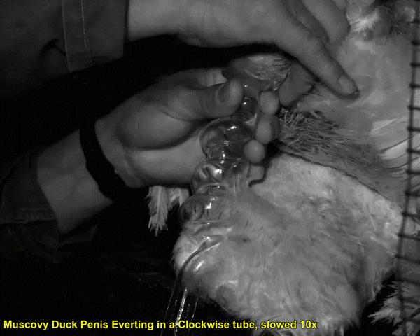 这些猫狗的照片,我也就看了10000多遍!