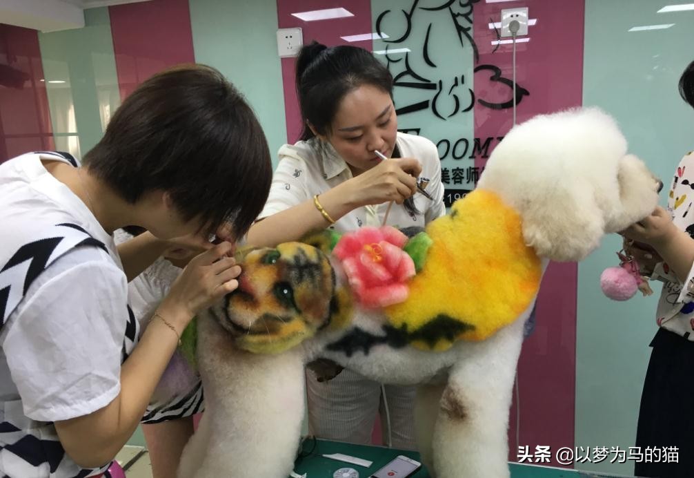 大专女生选什么专业比较好找工作,大专什么专业前景好适合女生工作