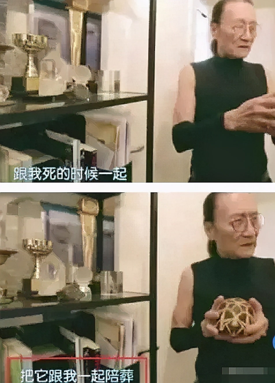 84岁谢贤自曝感情,83岁谢贤疑与34岁女友复合