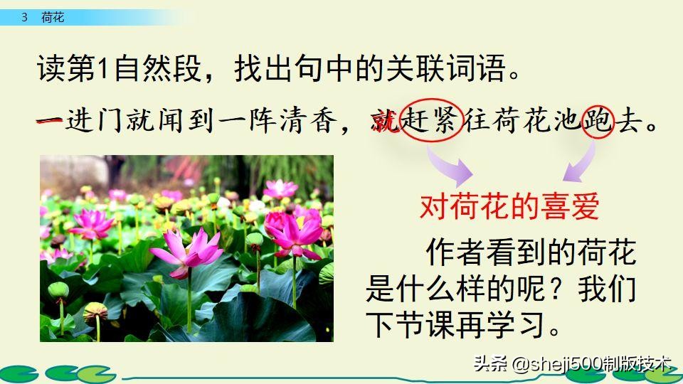 部编版三年级下册语文3荷花讲解,三年级下册部编语文荷花教学视频