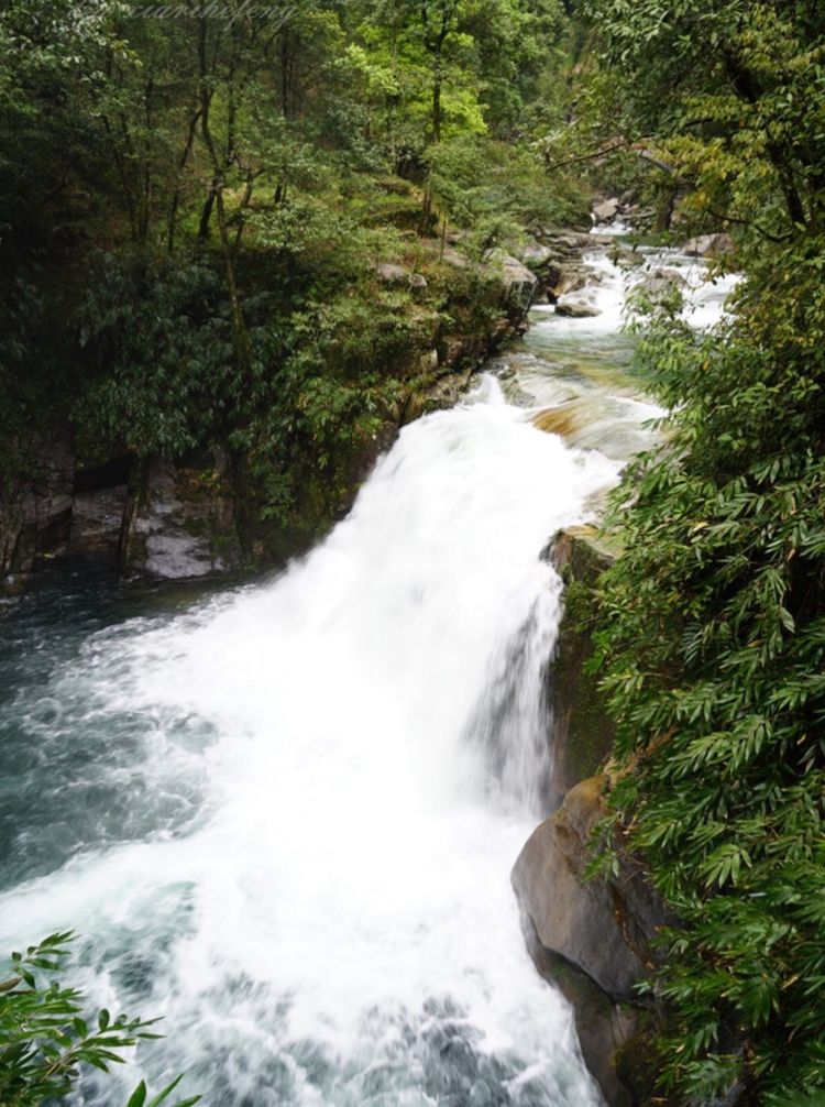 养在深闺人未识,桂林华南之巅猫儿山