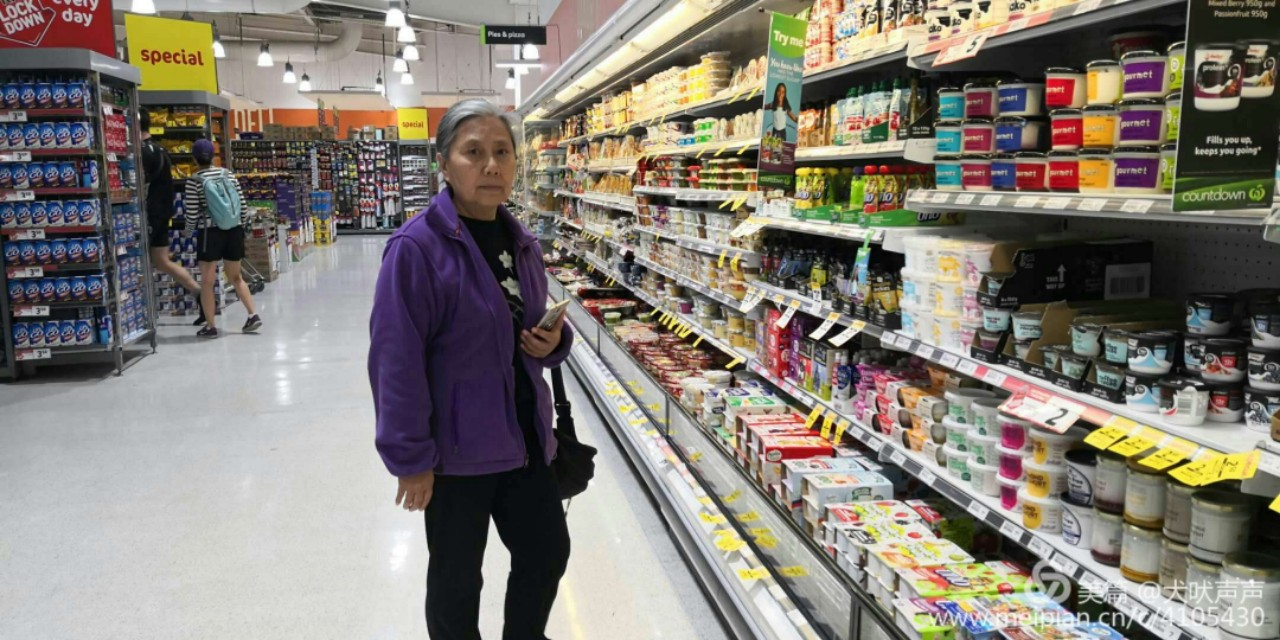 花甲后的新西兰自驾之旅(一)