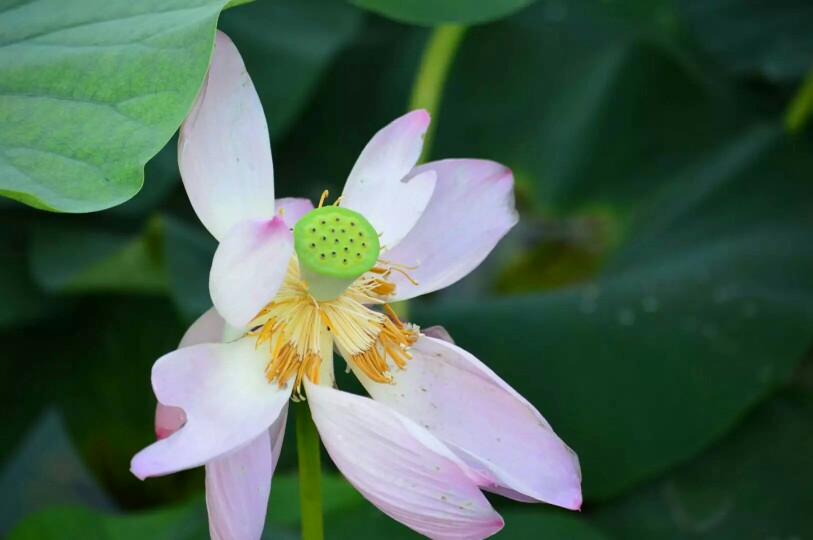 哈尔滨市内环境,哈尔滨一年四季的现状