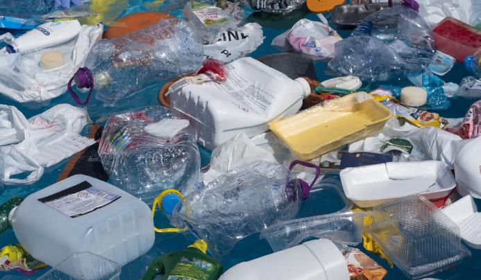 人类胚胎发现塑料,人类胎盘发现微塑料