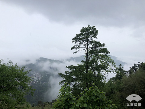 合肥朗廷酒店入住价格,朗廷合肥酒店