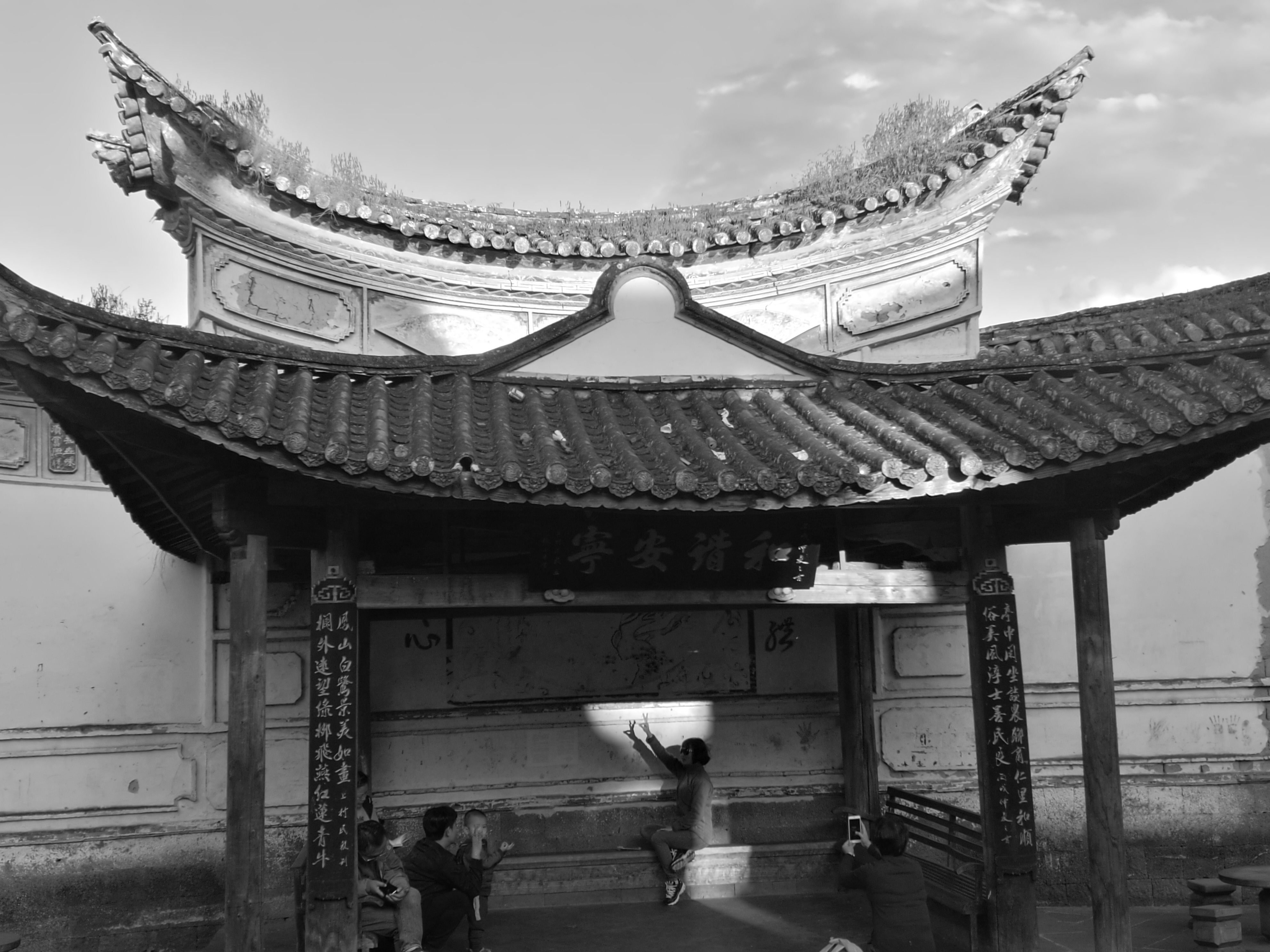 2023腾冲看银杏最佳时间,腾冲看银杏树旅游攻略