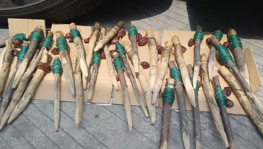 甲鱼针钓甲鱼的技巧,钓甲鱼线组搭配和技巧