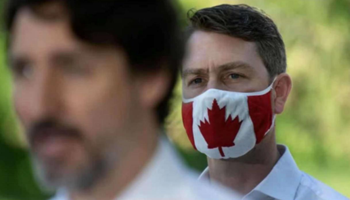 裸露成癖？加拿大议员又“火”了，全裸出镜会议后又在镜头前小便