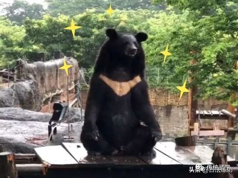 什么才是正确的含胸拔背,含胸拔背才是正确的姿势吗