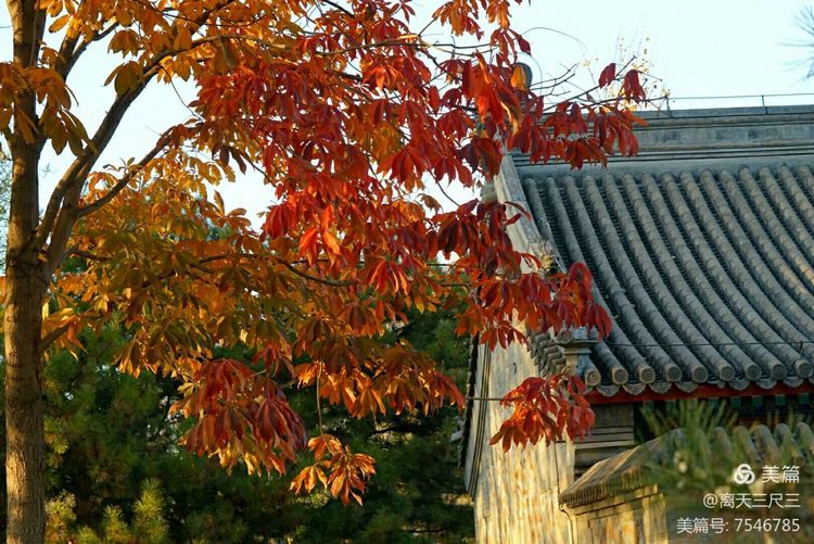 玉泉山北坞公园介绍,北坞村玉泉山