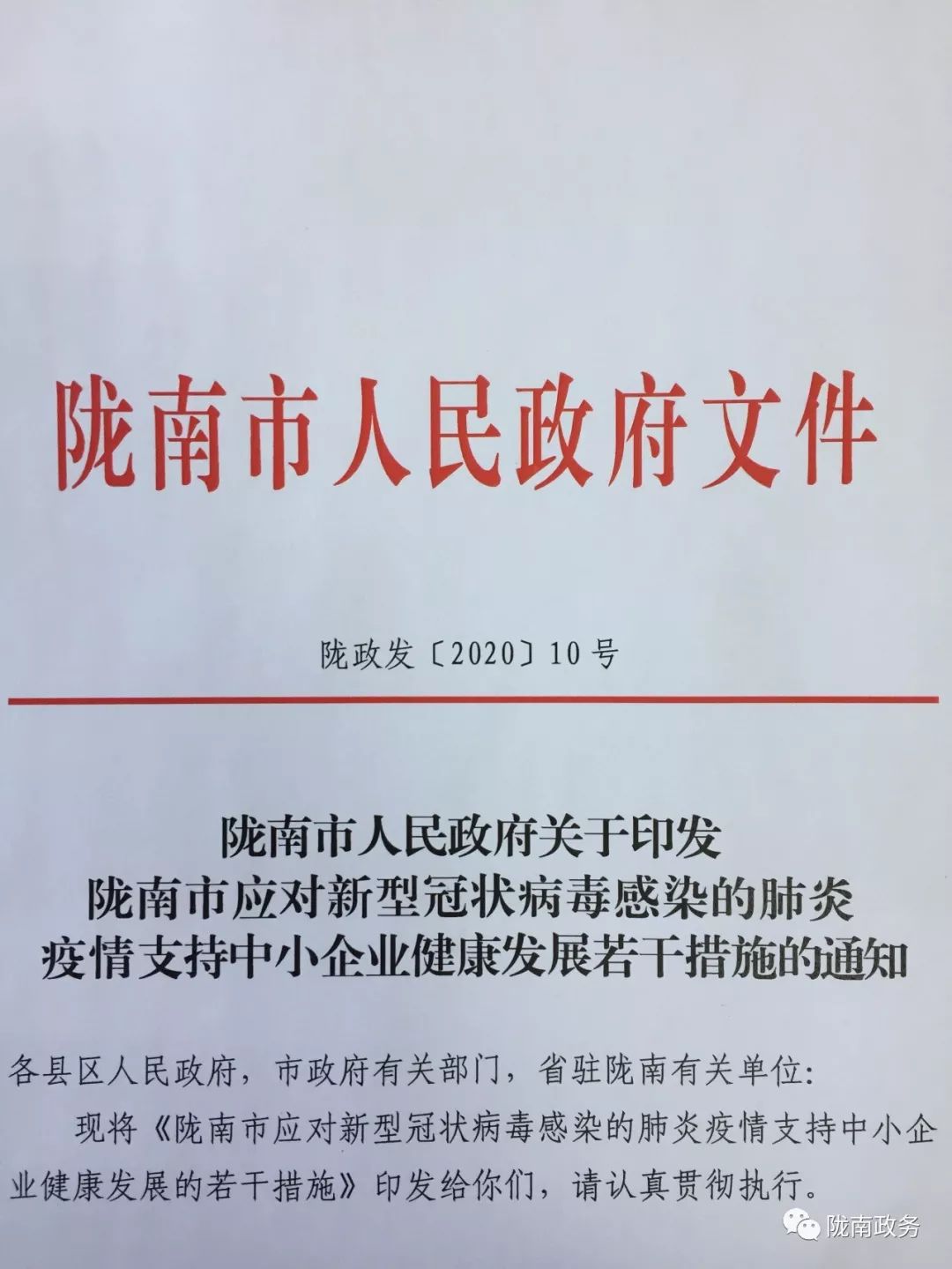 陇南市新冠肺炎疫情应急预案,陇南市新冠肺炎疫情防控工作会议