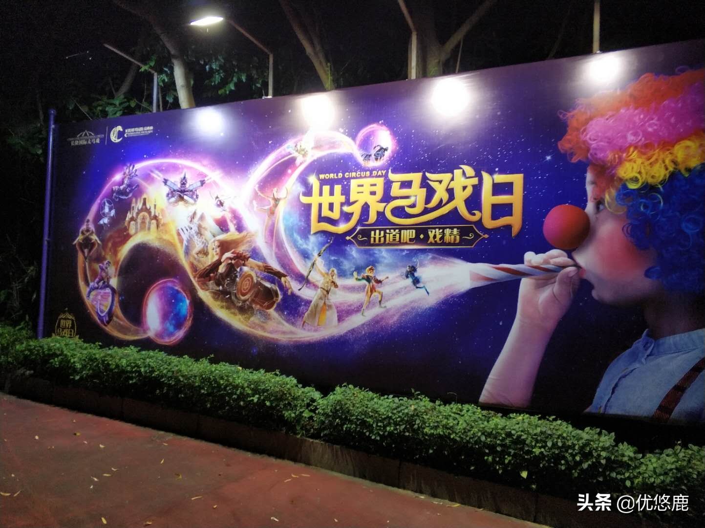 广州长隆野生动物园自驾大马戏,广州长隆野生动物园攻略马戏表演