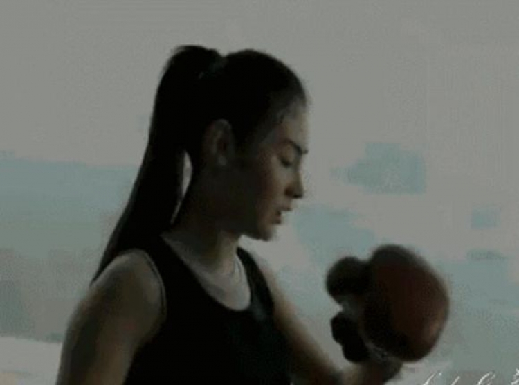 隆鼻张柏芝鼻型,浪姐张柏芝新消息