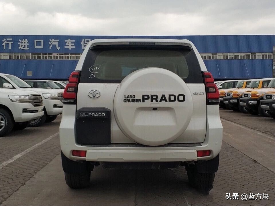 普拉多耍帅视频,普拉多卖萌