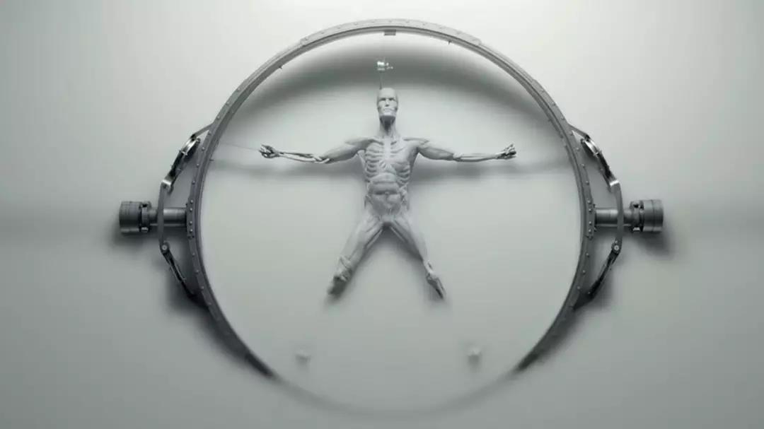 看过的机器人越多,越可怜人类