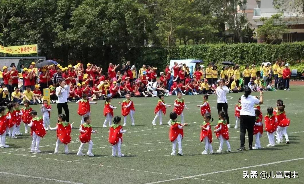 深圳十大名牌幼儿园,深圳维多利亚幼儿园最新消息