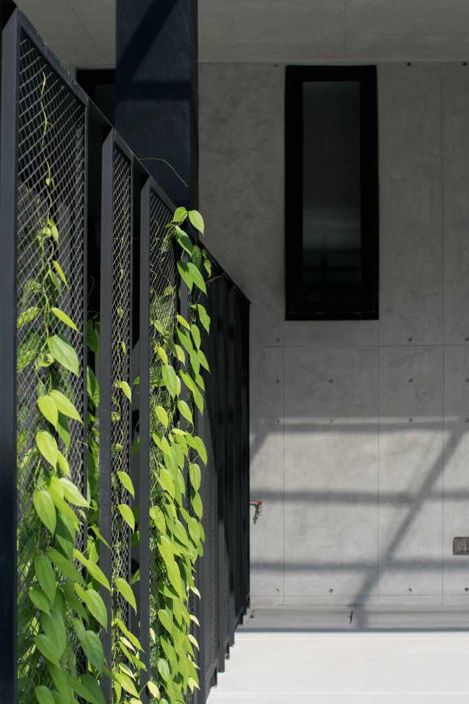 曼谷像素大厦住宅,泰国的绿色房子