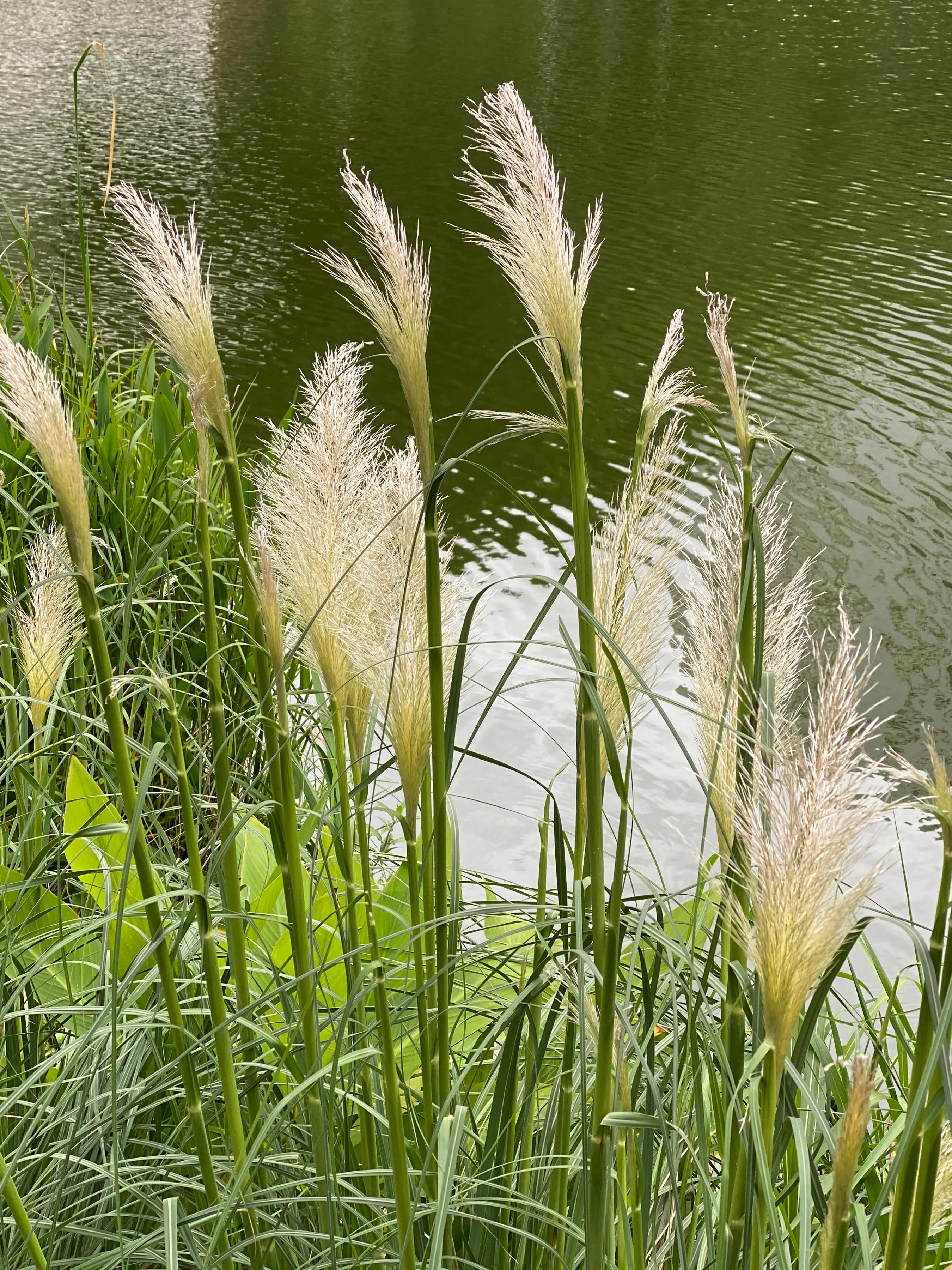 如果一个人心情很烦怎么办,心情郁闷如何释放自己