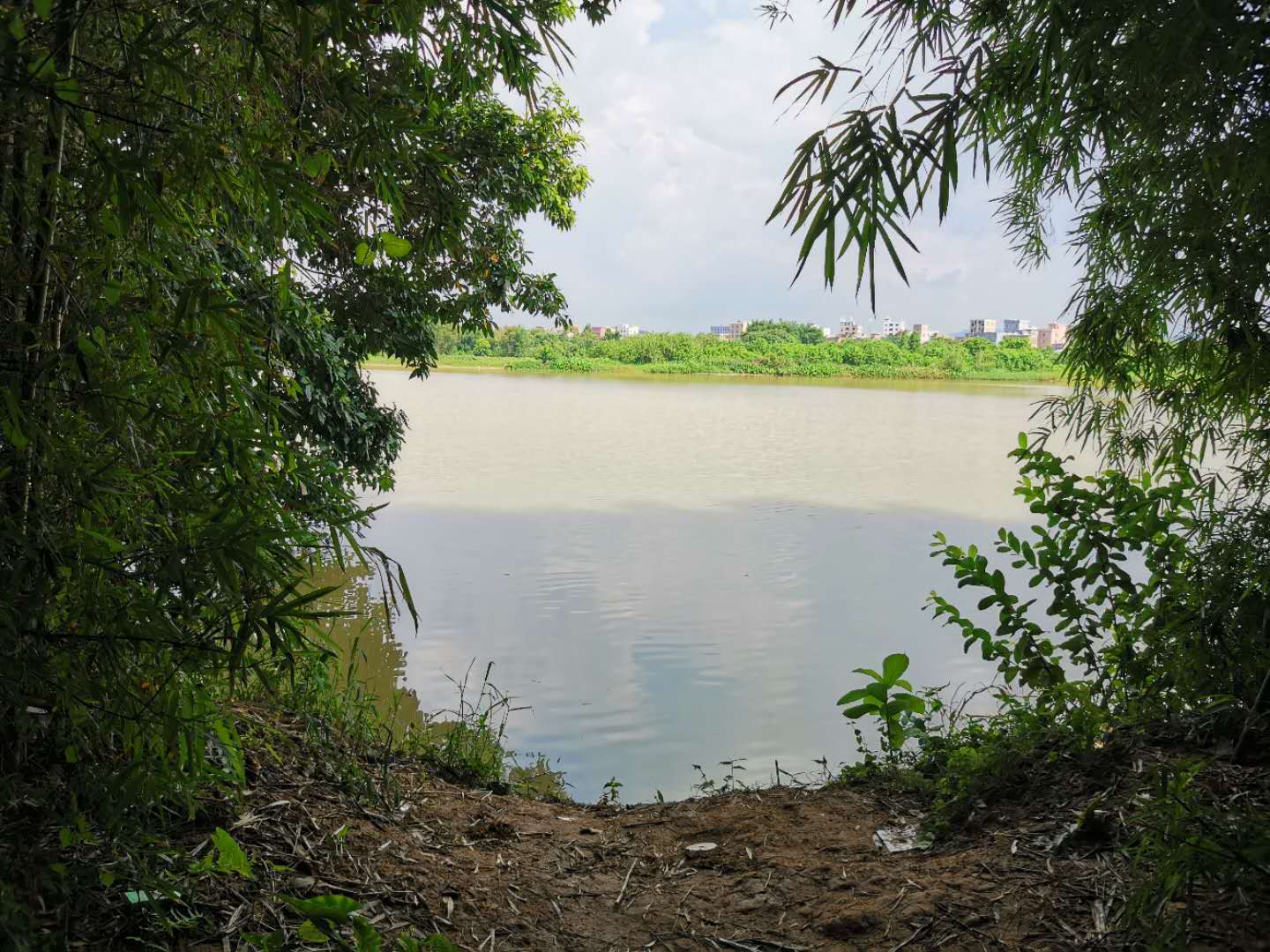 钓土鲮遇到小罗非多怎么办,小罗非闹窝用麻团钓法