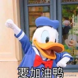 深圳将出土地新政,深圳龙岗公租房2023计划表一览表