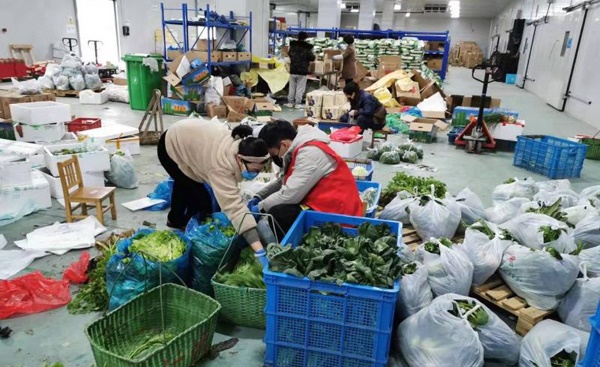 疫情之下催生的生意,疫情期间催生的变革