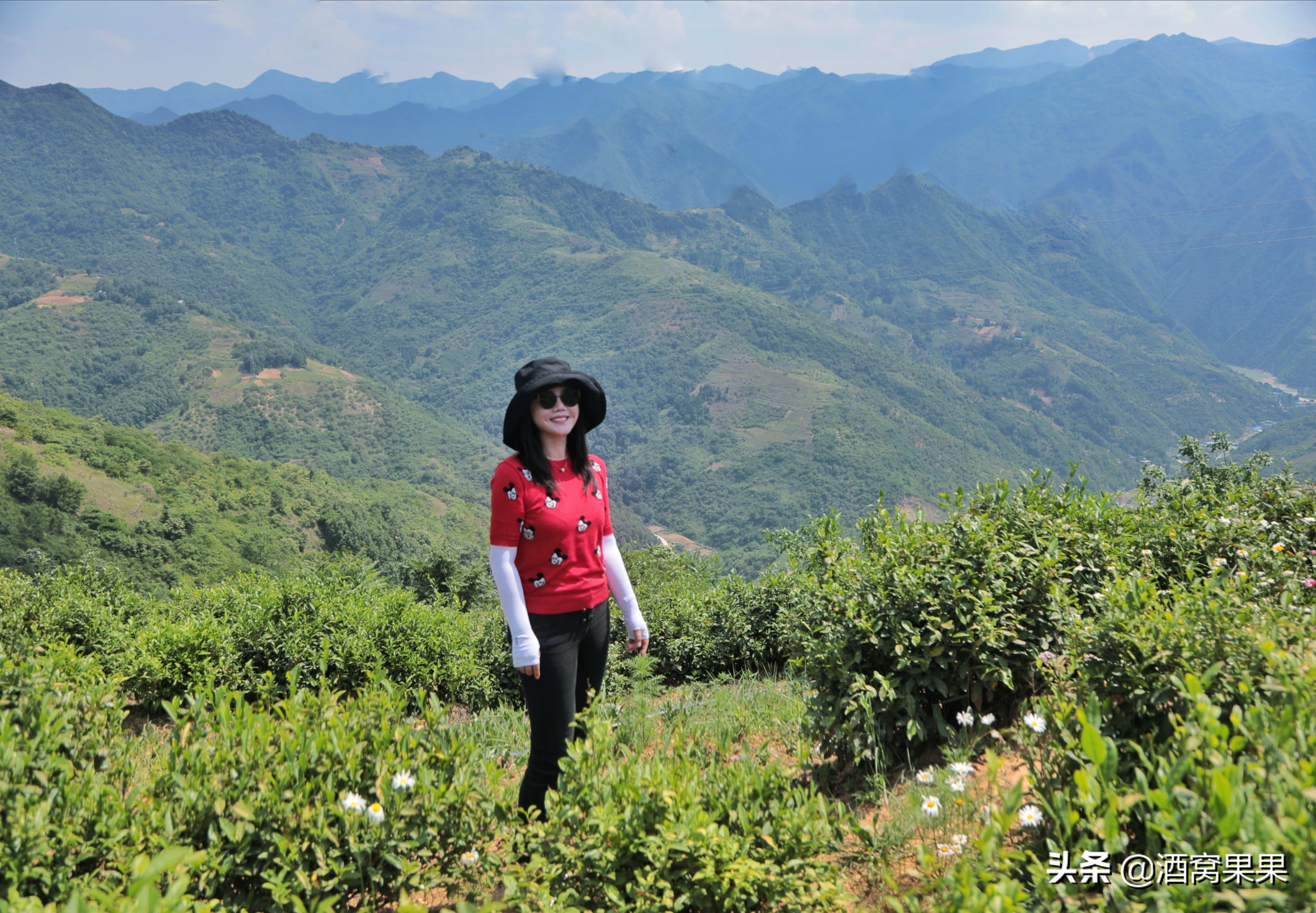 商洛大山深处免费的景区,陕西商洛山阳旅游攻略
