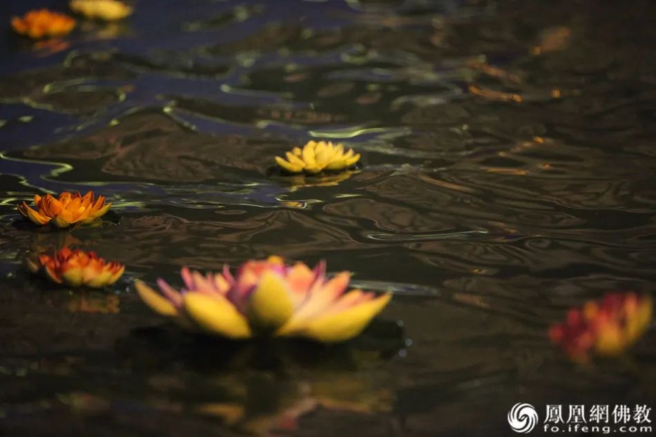 静波法师九句话告诉你什么,静波法师最近视频