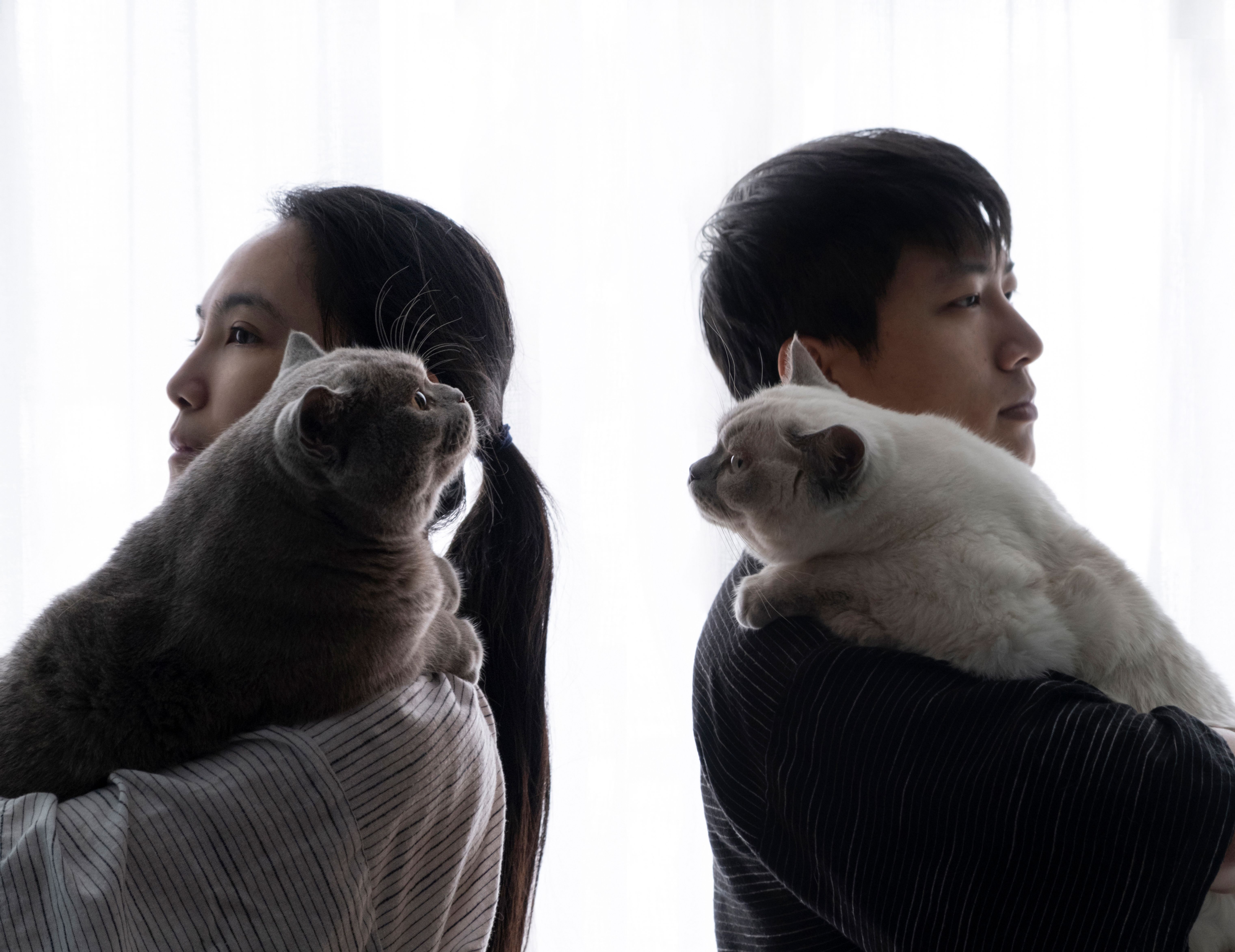 迟到的618好物推荐,618影像神器