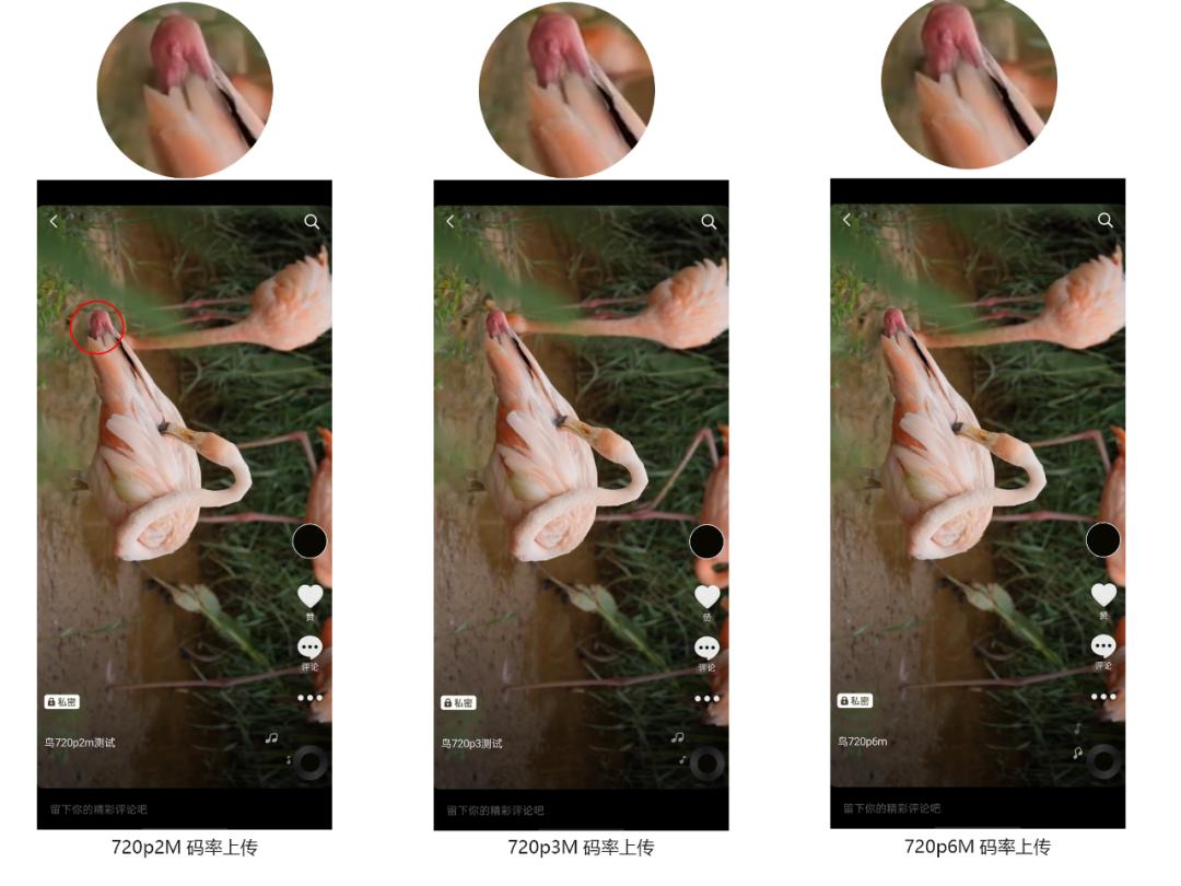 抖音视频测试的方法,抖音怎么让视频变快的教程