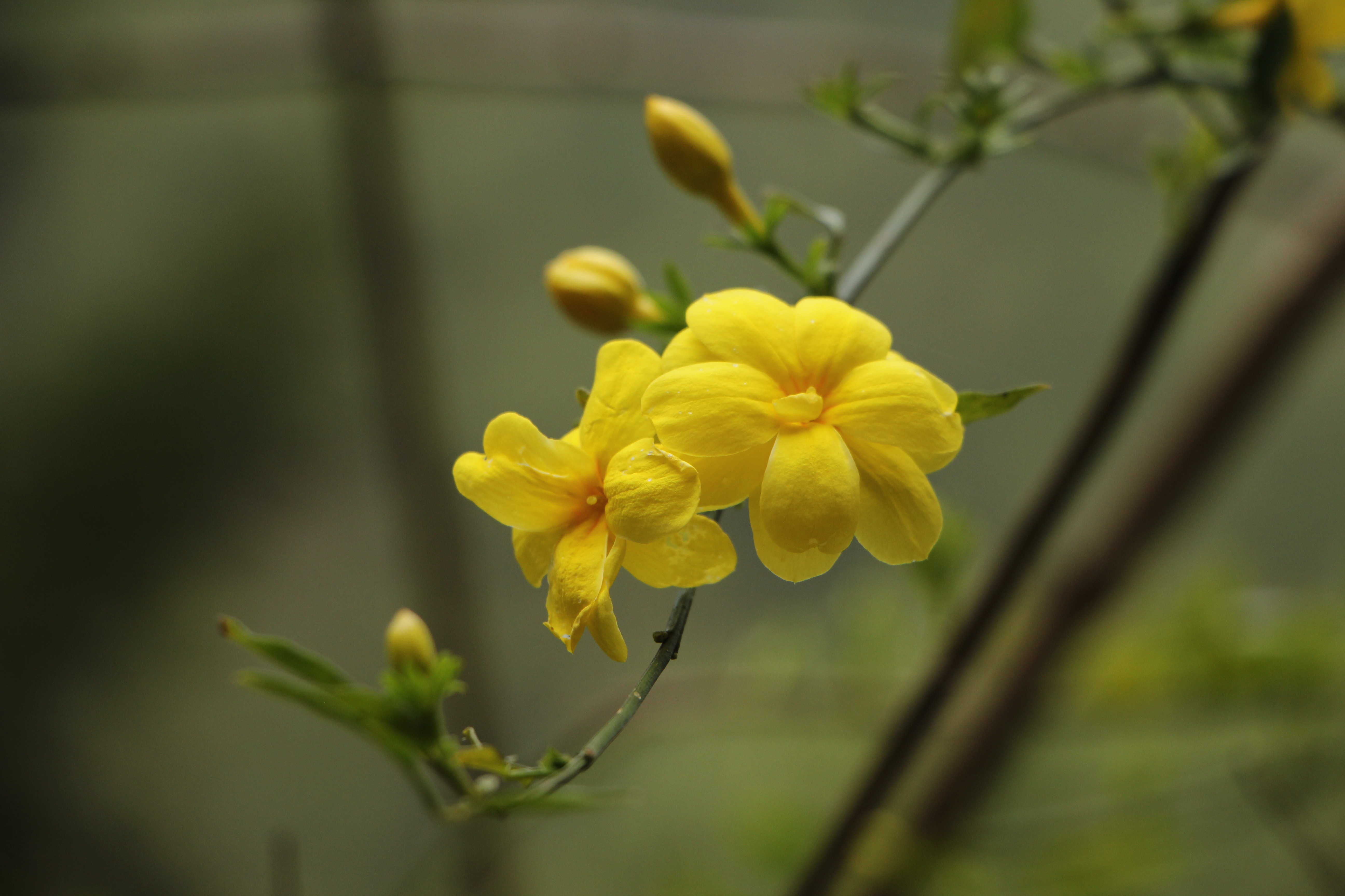 成熟人才能看懂什么,成熟的人知道自己成熟吗