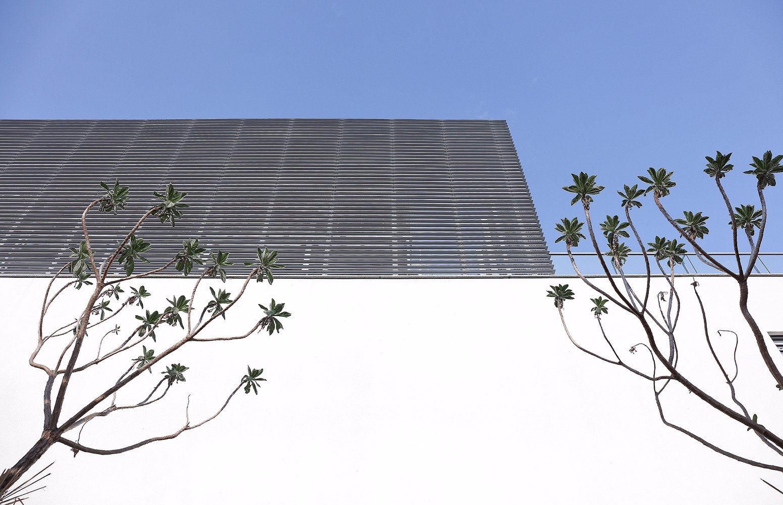 外表平平内部却别有洞天,看似平常里面别有洞天的豪华建筑