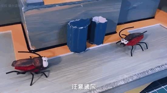 模型师消除家里蟑螂的模型,老袁如何消灭家里的蟑螂