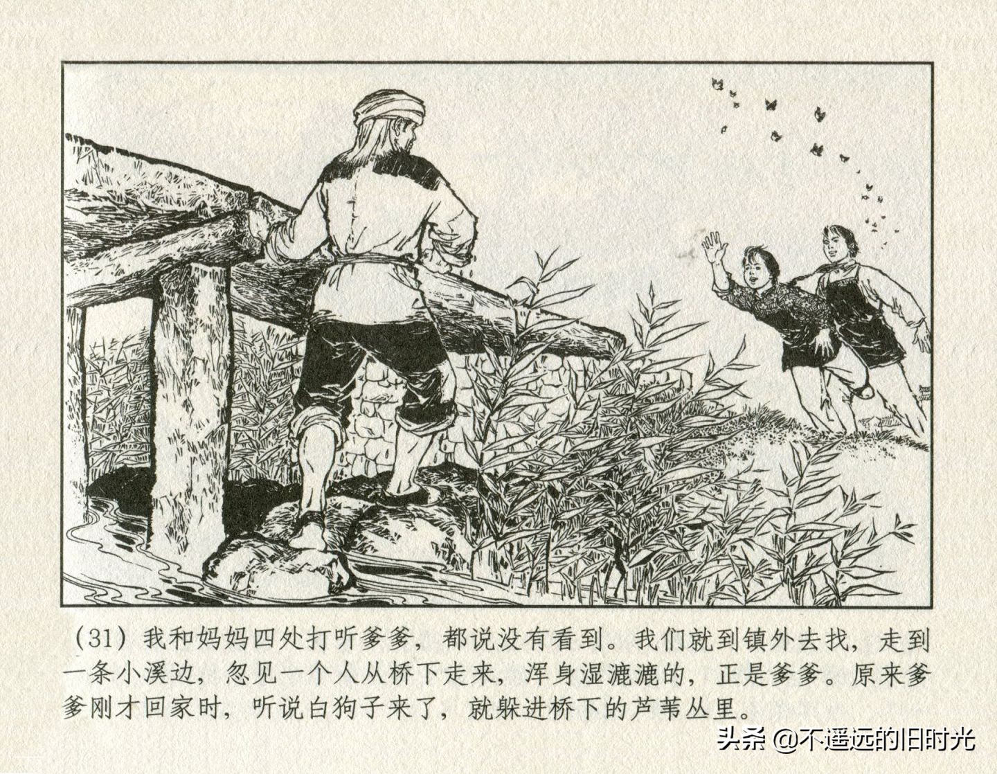 朝阳花-上海人民美术出版社1981初版2016再版陆成法陆小弟绘