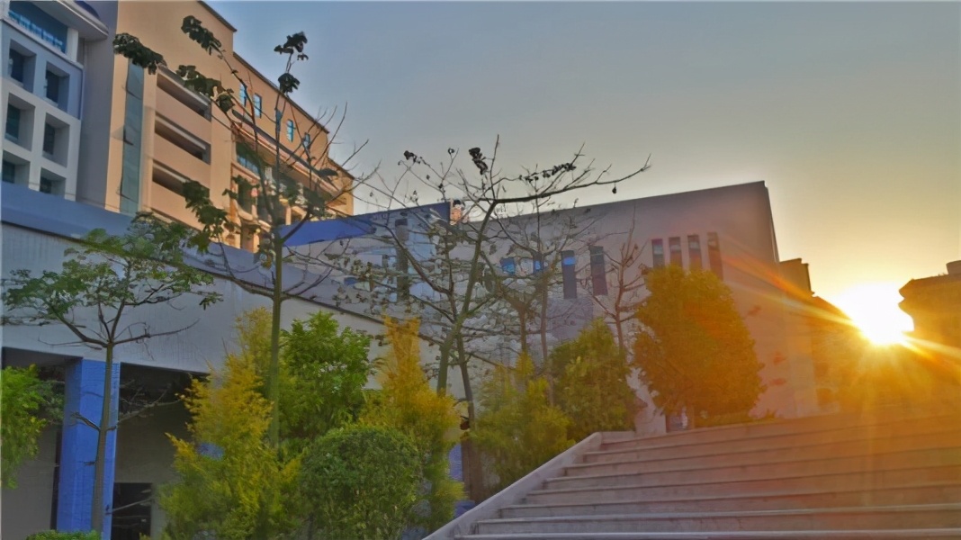 惠州城市职业学院是高职院校吗,广东高职高考考哪些