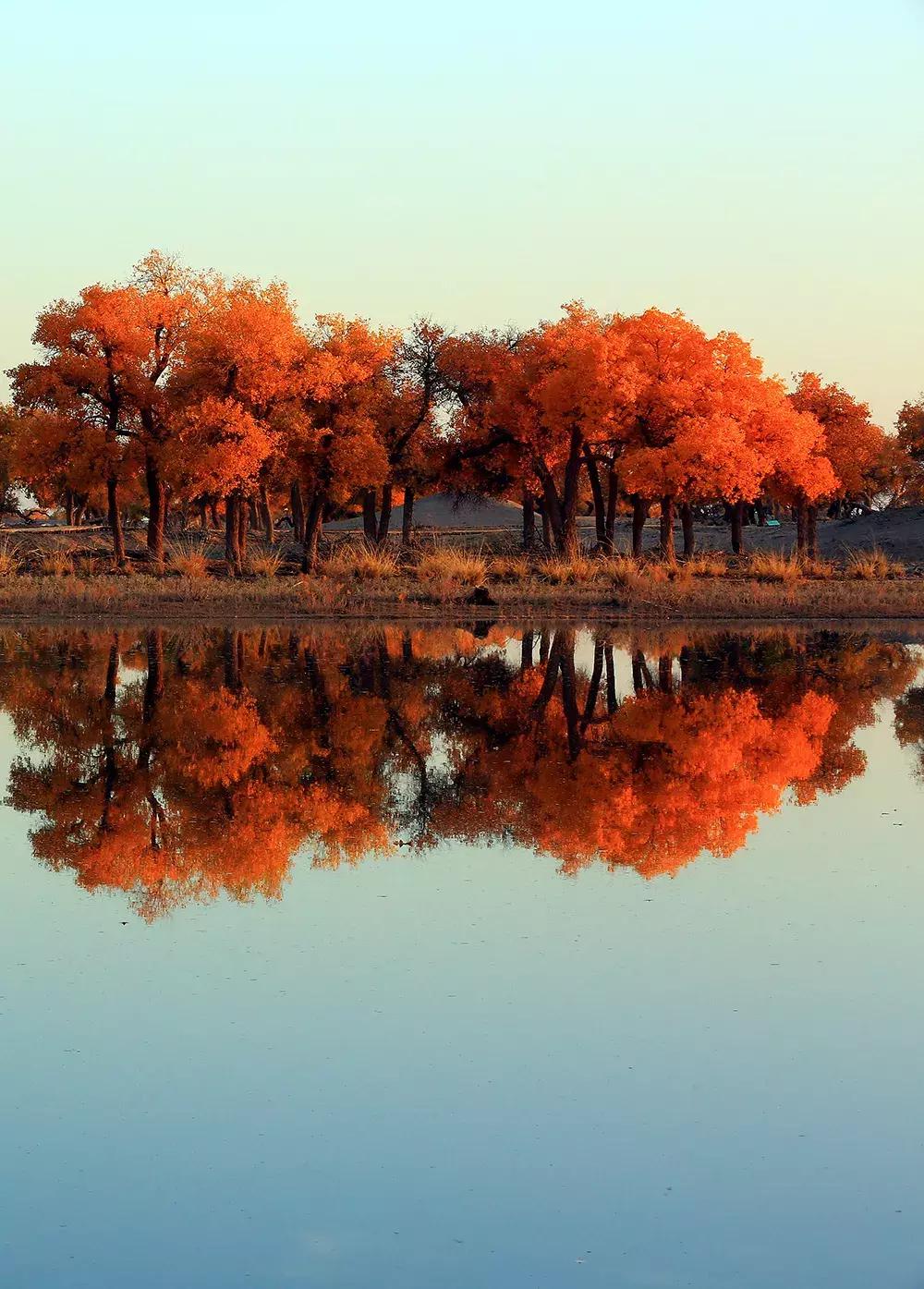 额济纳旅游自由行攻略,额济纳旗旅游最佳省钱攻略