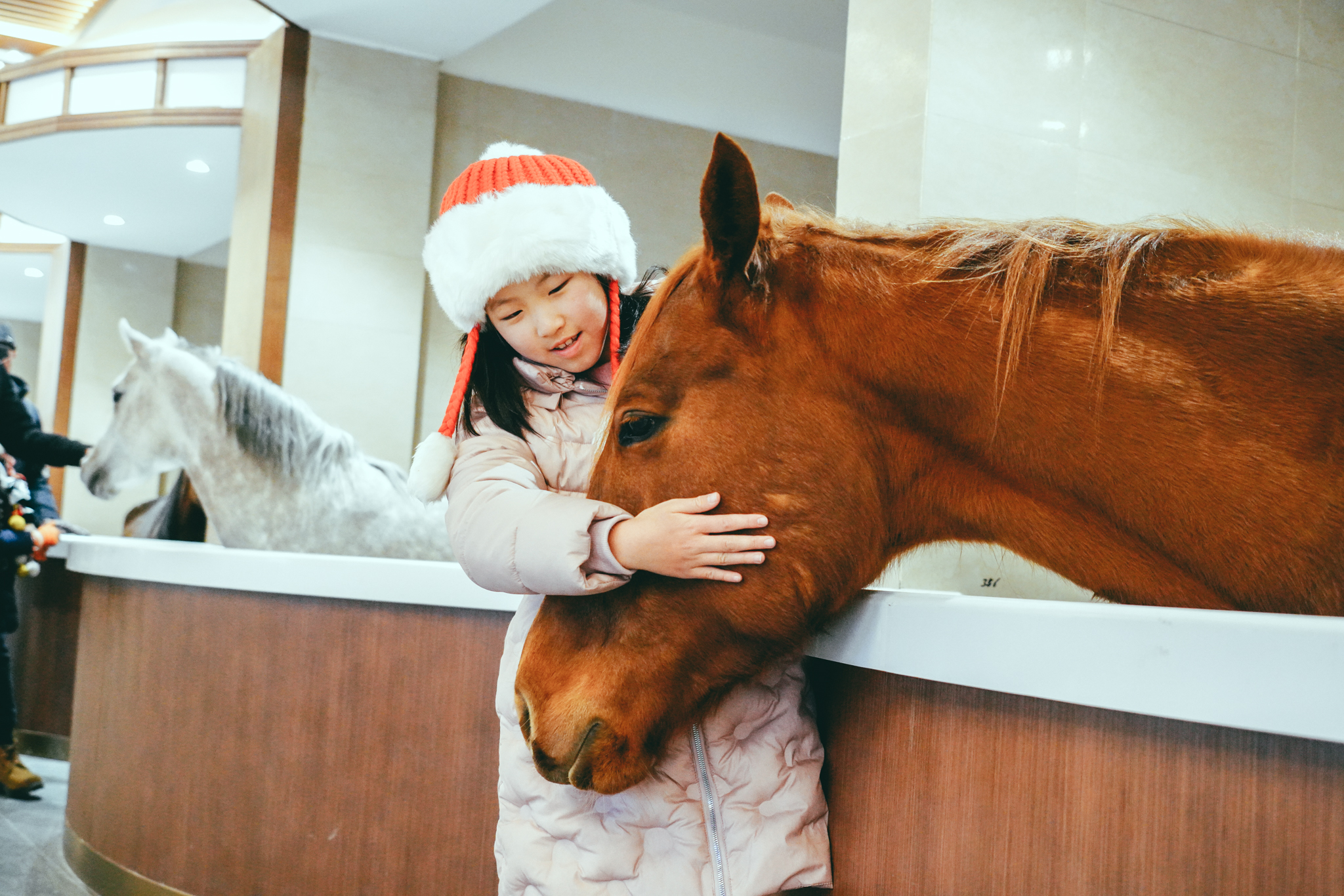 美也声声马鸣，冰雪晶莹！壮哉辽阔草原，新岁康安